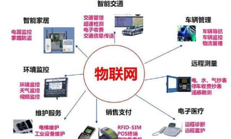 迈伟大步，智联未来：浙江智能科技企业的崛起与创新